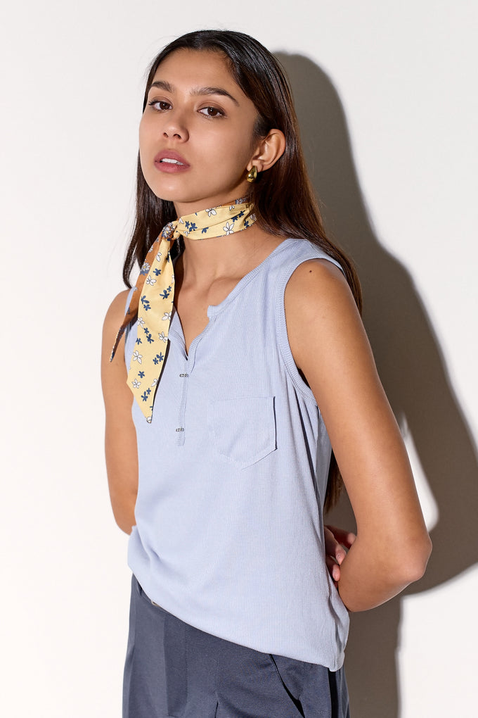 גופית הנרי כיס