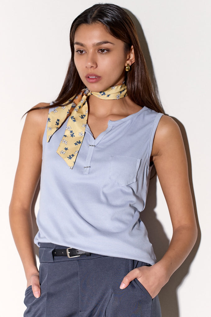 גופית הנרי כיס