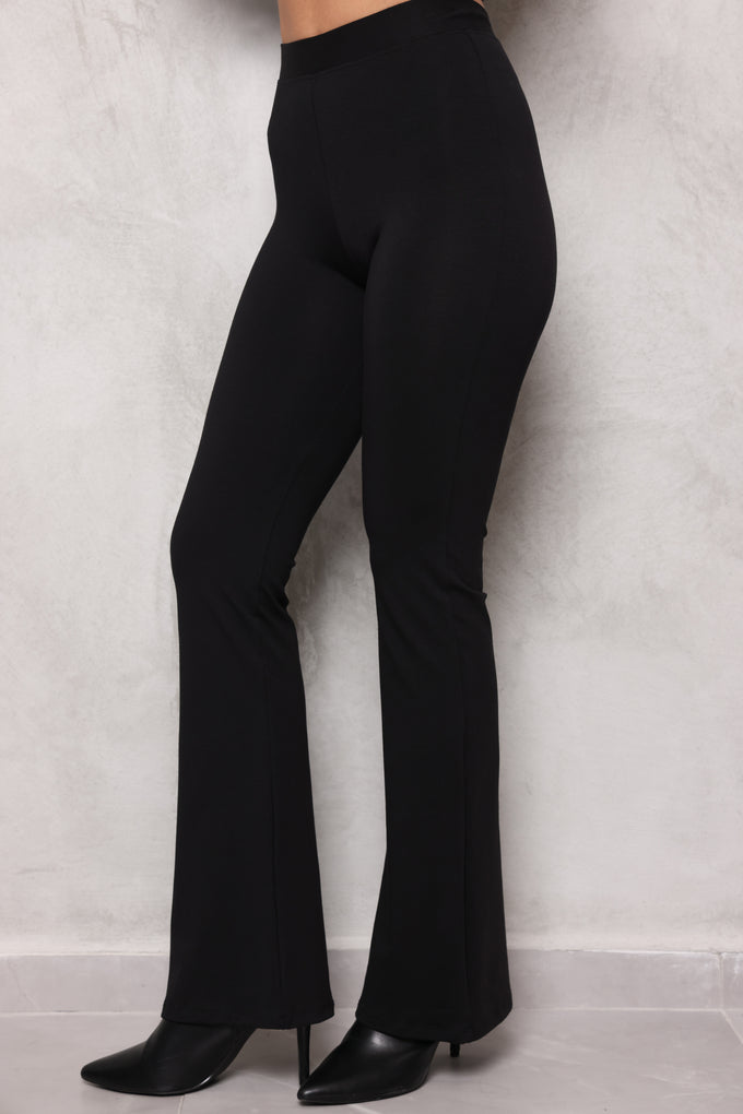 טייץ פדלפון טיילור