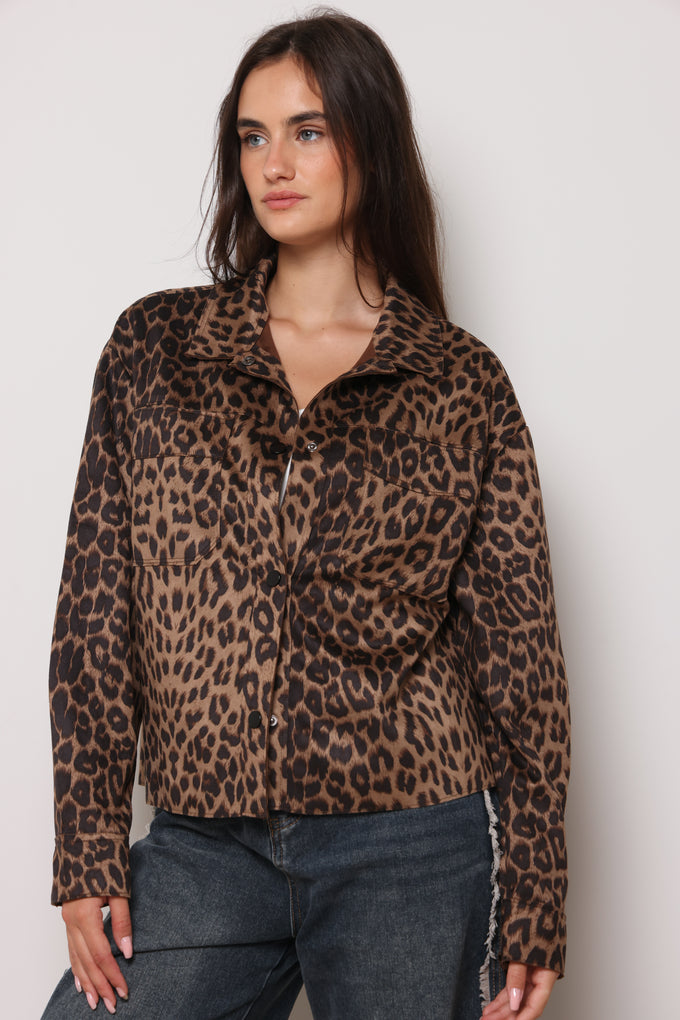 ג'קט ליאופרד מנומר