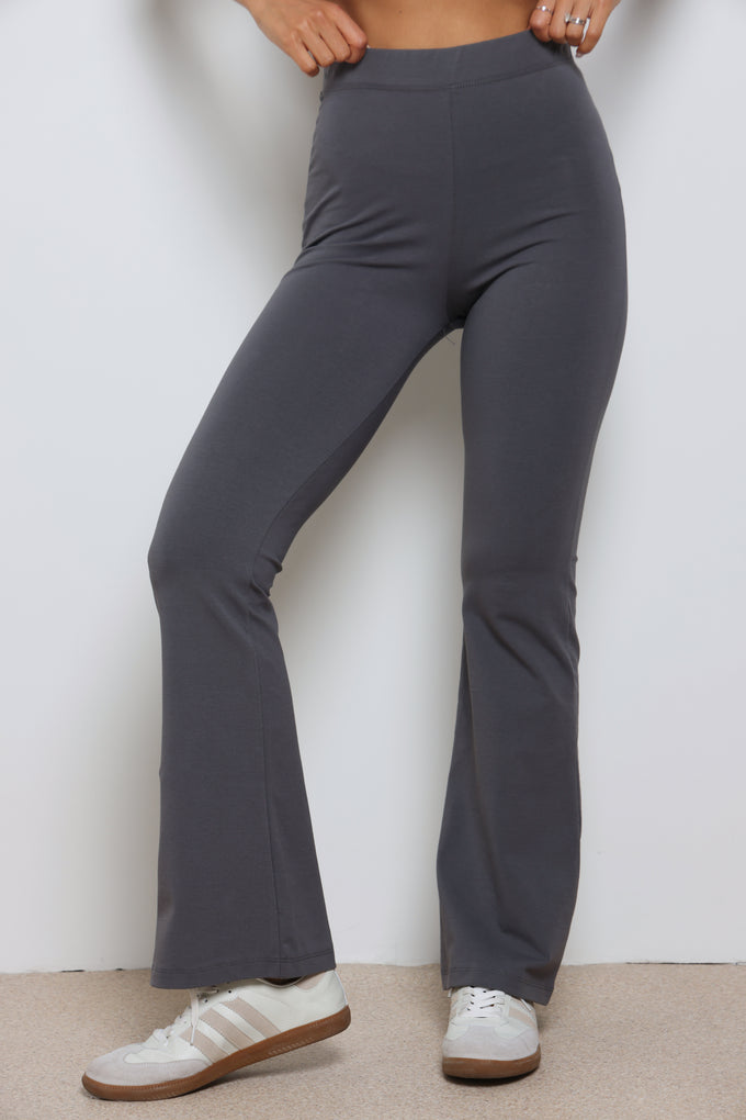 טייץ פדלפון טיילור